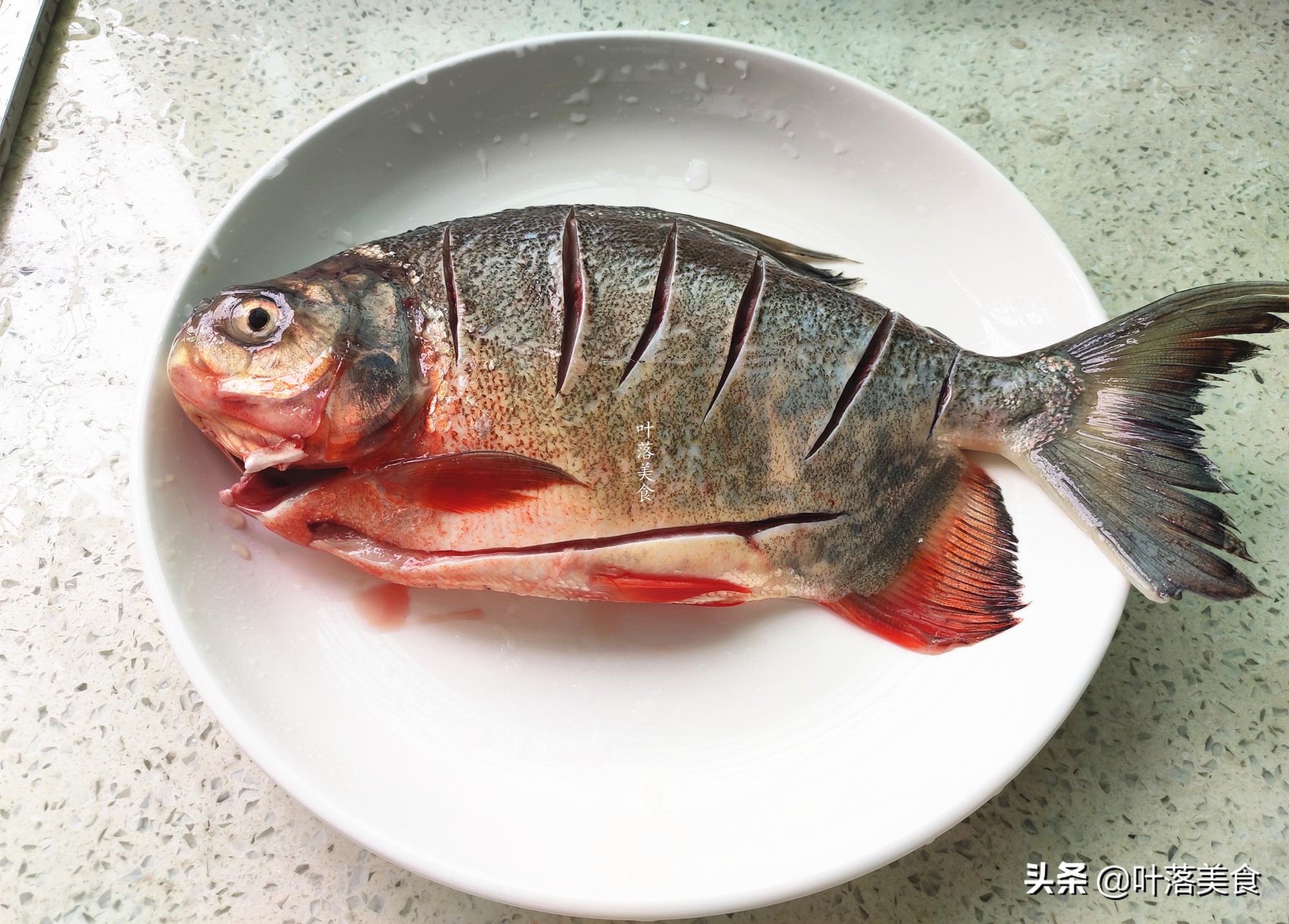 清蒸红鲳鱼做法家庭版,清蒸红鲳鱼的配方