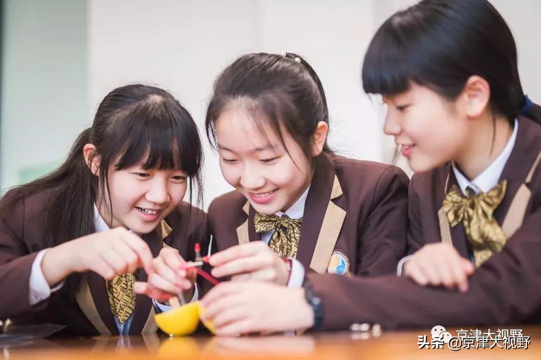 武清英华雍阳中学,天津武清英华私立学校