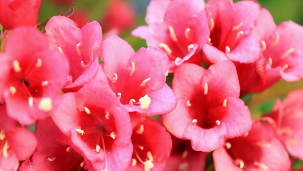 和喜欢的人聊天技巧对话大全,怎么和喜欢的人聊天增进感情