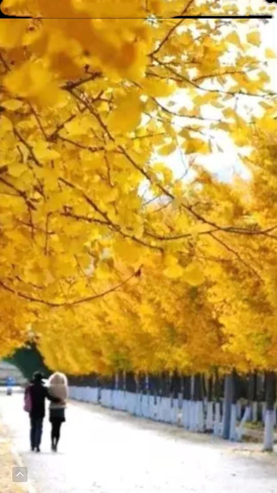 家庭婚姻出现问题怎么办,家庭和婚外情该如何取舍