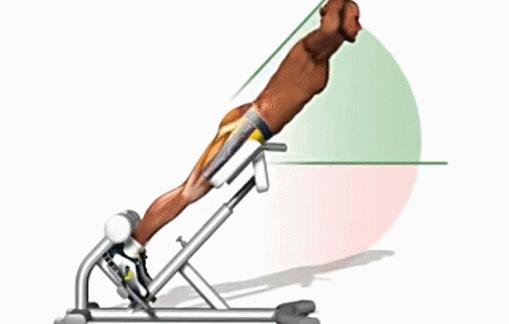 健身背部肌肉分布图,健身增肌背部肌肉怎么练