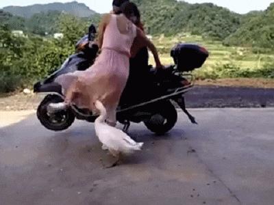 搞笑gif趣图妹子你别闹了,搞笑gif趣图妹子你这笑容太魔性了