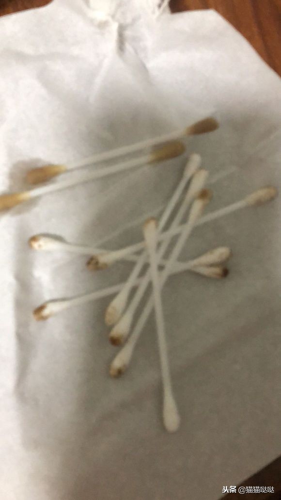 小猫得了猫癣怎么治好得快,小猫得了猫癣能治好吗