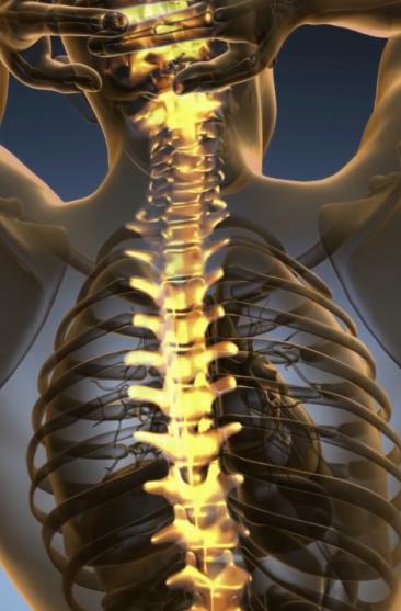 坐骨神经饮食关注什么,腰椎间盘突出坐骨神经痛饮食关注