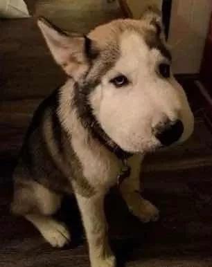 拔牙后怎么关注口腔卫生,拔牙后的正确护理方法