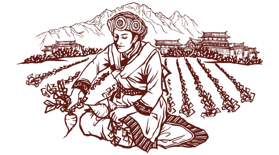 玛咖的服用方法和用量,中科院赵兵教授谈玛咖作用