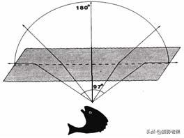老黑说视频,各种相机鱼眼镜头
