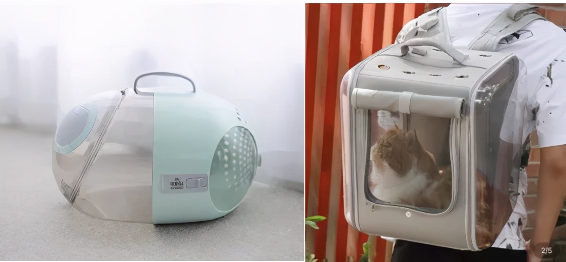猫咪最适合哪种猫包,透明猫包对猫咪有哪些不好