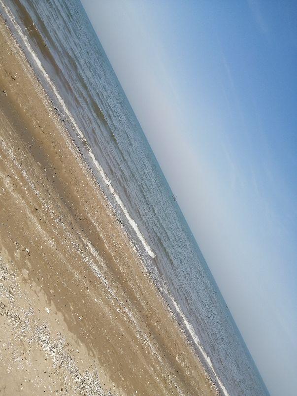 大连市的海拔高度是多少,大连市的海之韵公园