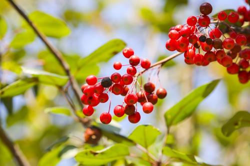 古诗秋夕的情感,有关秋意的唯美诗句