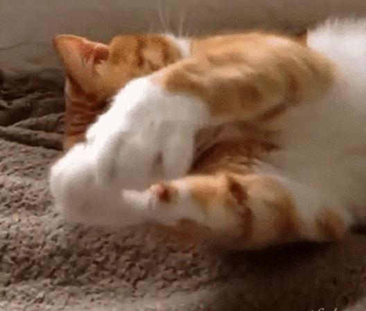 日本网红鼻炎药的危害,网上买的鼻炎药靠谱吗