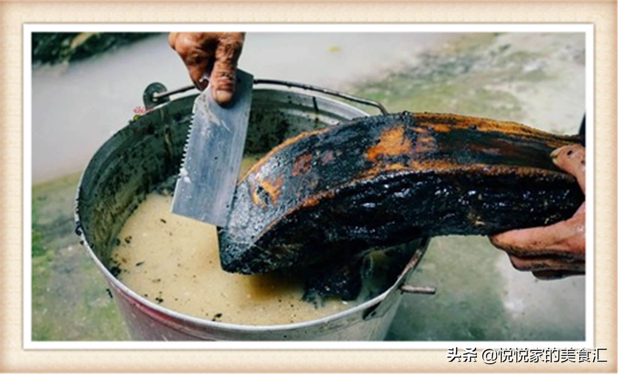 腊肉清洗和炒法,烟熏腊肉怎么清洗才能去掉烟味
