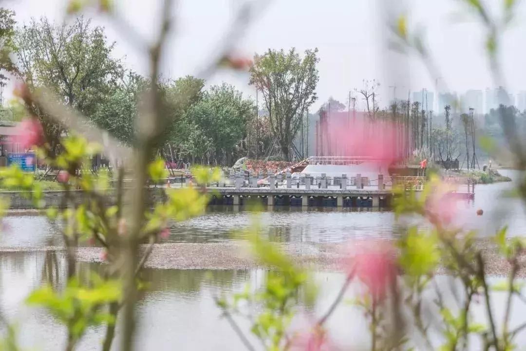 元旦去哪里玩视频,元旦适合去哪玩