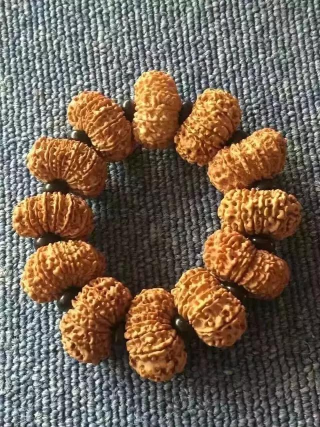 什么是金刚菩提鹰爪纹路,小金刚菩提子纹路图解大全