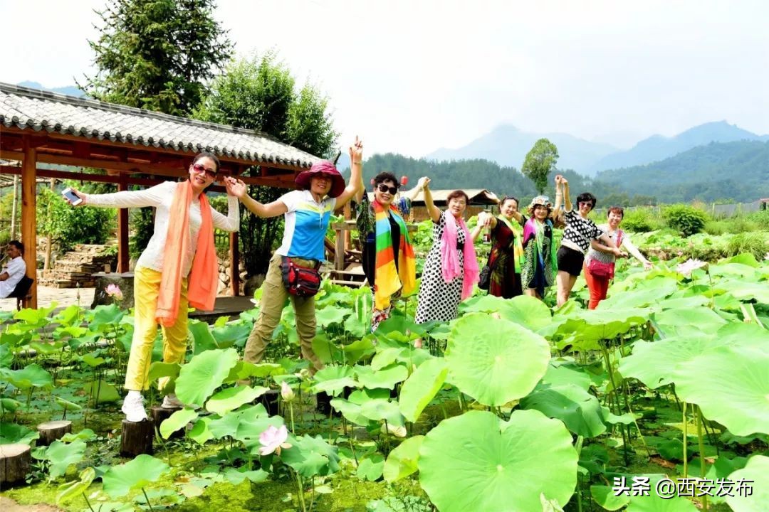 陕西省十大村庄,陕西省11个贫困县名单