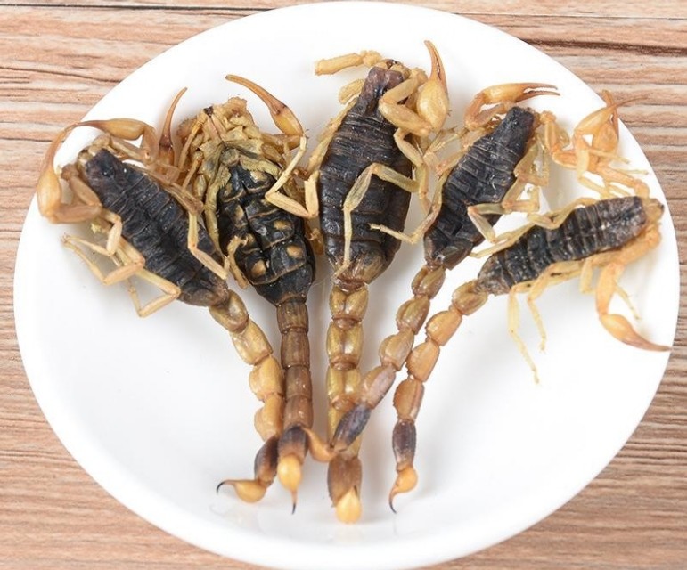 蜈蚣和全蝎均能息风止痉,全蝎息风止痉的功效