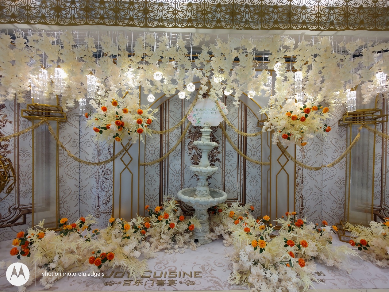 motorolaedgespro和edges区别,motorolaedges视频