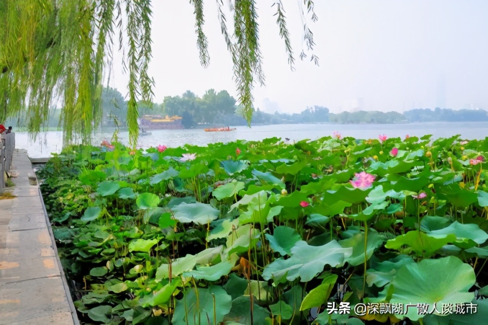 济南成为第六大城市有什么意义,济南第十大中心城市