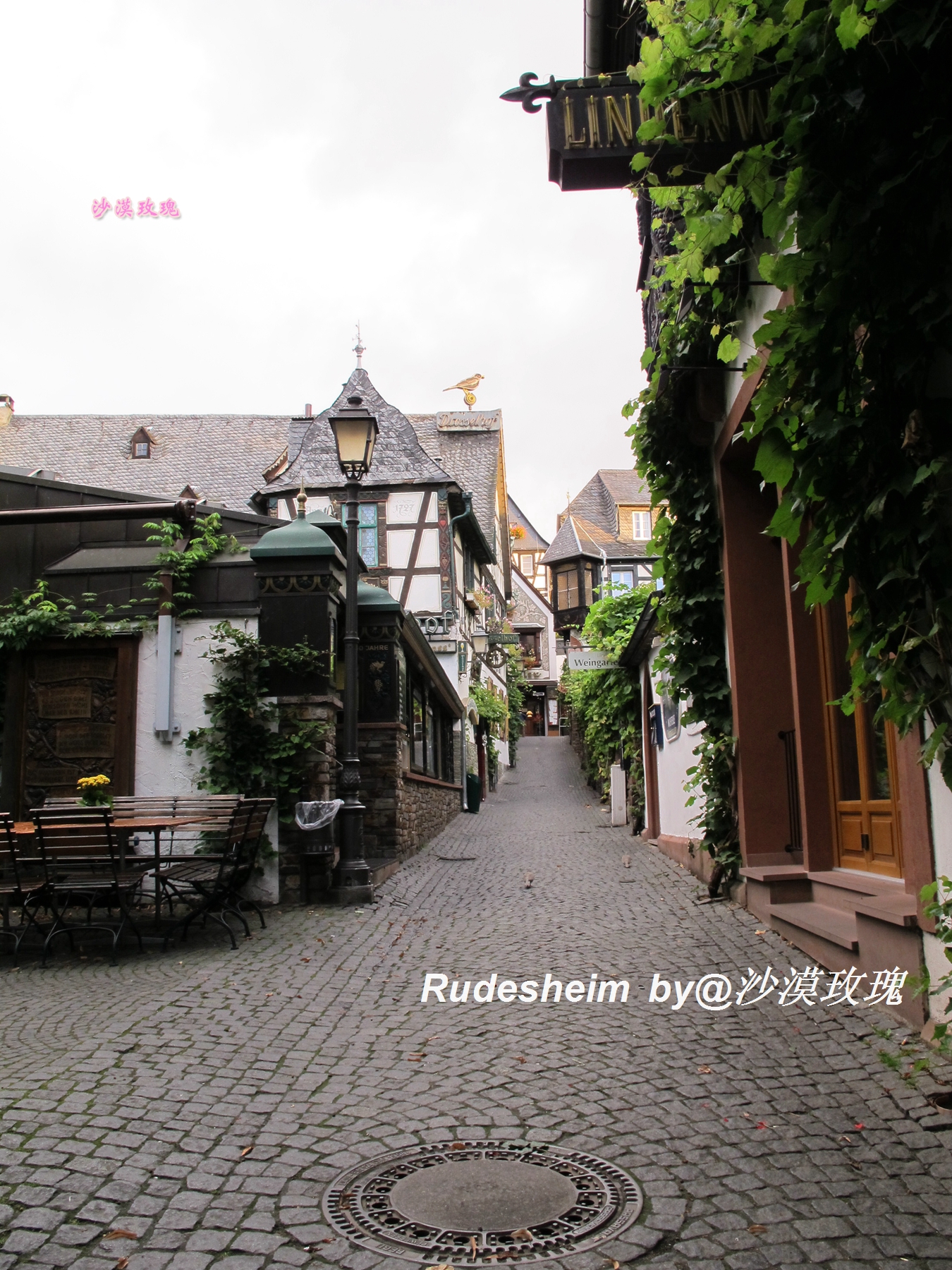 莱茵河葡萄酒小镇,莱茵河畔的葡萄小镇