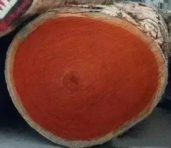 缅甸花梨佛珠手串辨别,缅甸花梨沙发怎么辨别