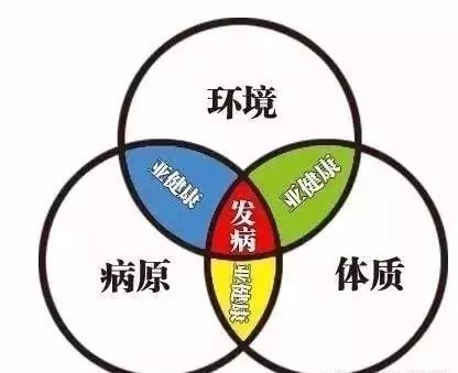 黄颡鱼苗水霉病用什么药,黄颡鱼身上有溃烂是什么病