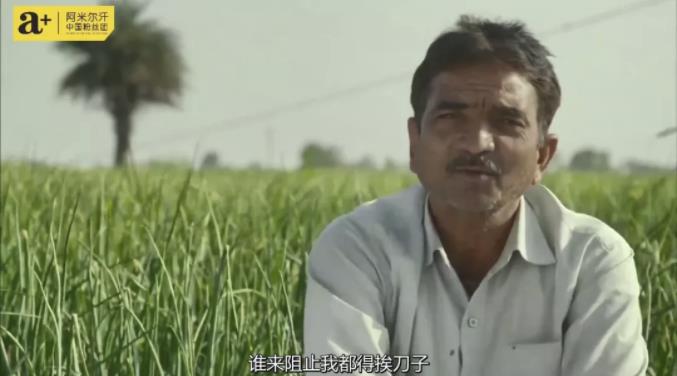 阿米尔汗2012电影,阿米尔汗高分电影