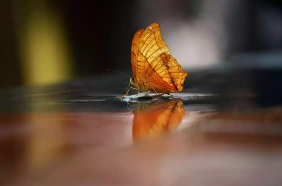 成都耍水露营避暑的景点推荐,热得冒烟的天气