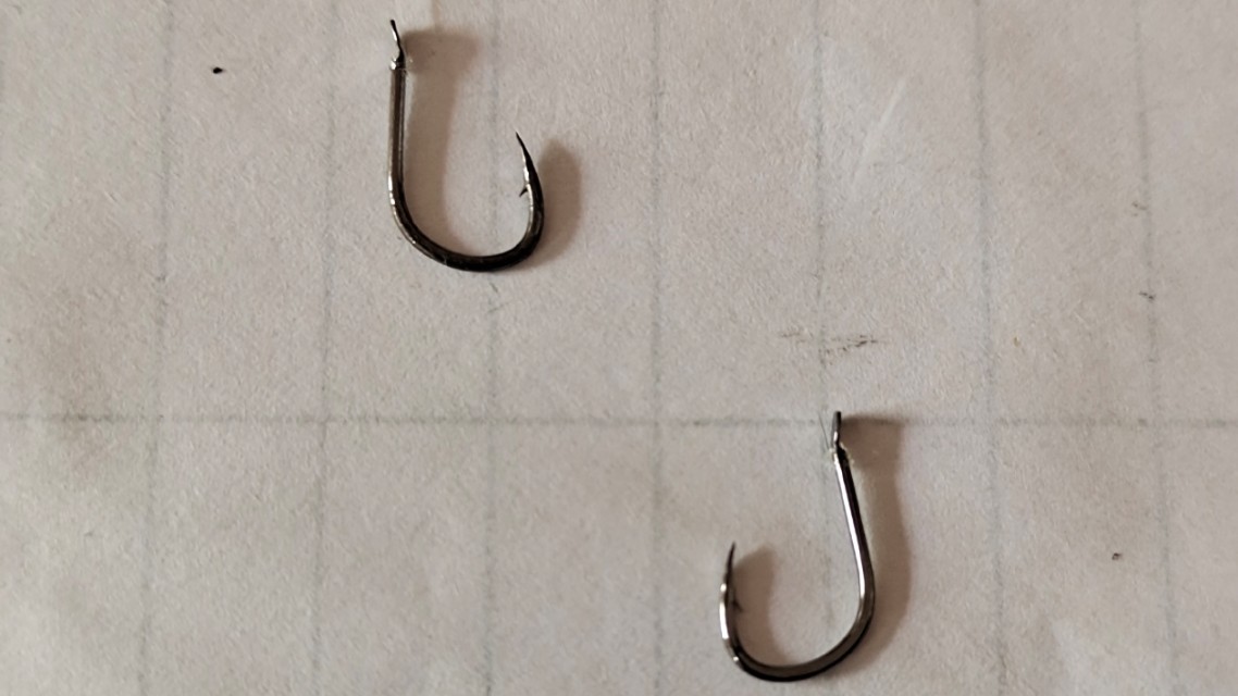 鲮鱼不打窝,钓鲮鱼的技巧和饵料