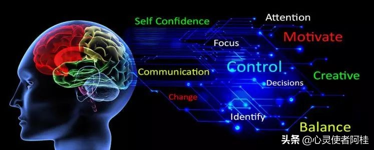 眼睛nlp是什么,nlp是什么药片