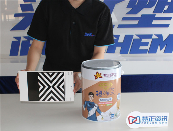 紫荆花抗菌墙面漆,紫荆花净味防霉120墙面漆