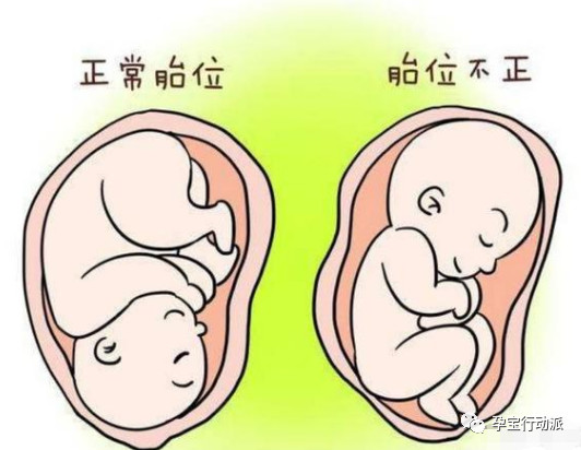 孕期周刊，第三十四周