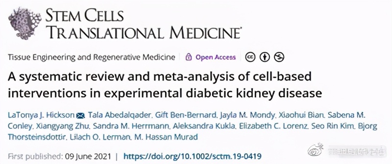 干细胞治疗糖尿病肾病的最新进展,间充质干细胞治疗糖尿病肾病