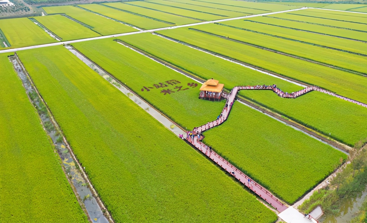【南岸津声】骄傲在这片热土上
