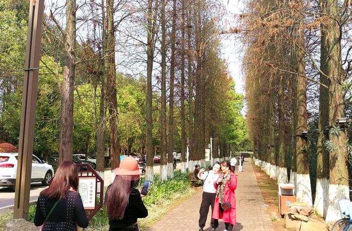 美丽的南湖公园夜景,南湖风景区真的太美了