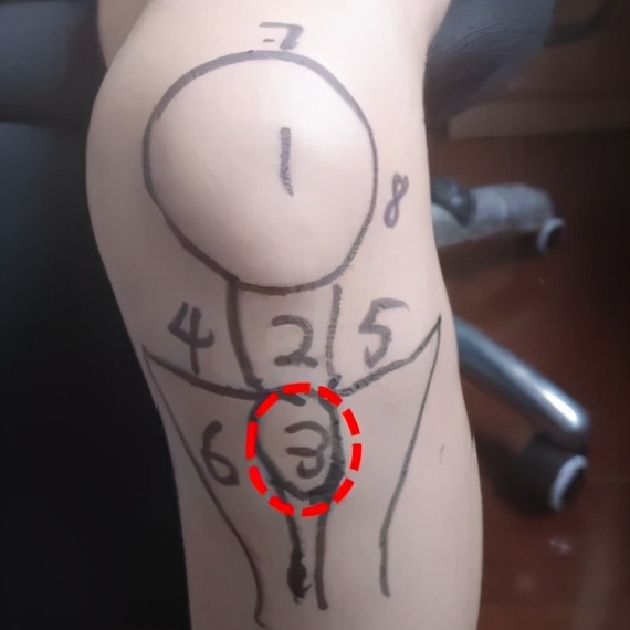 不同膝盖疼痛是暗示什么,不同位置的膝盖疼