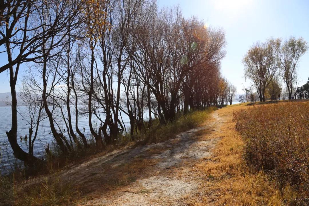 环海西路何时开工,环海路开放时间