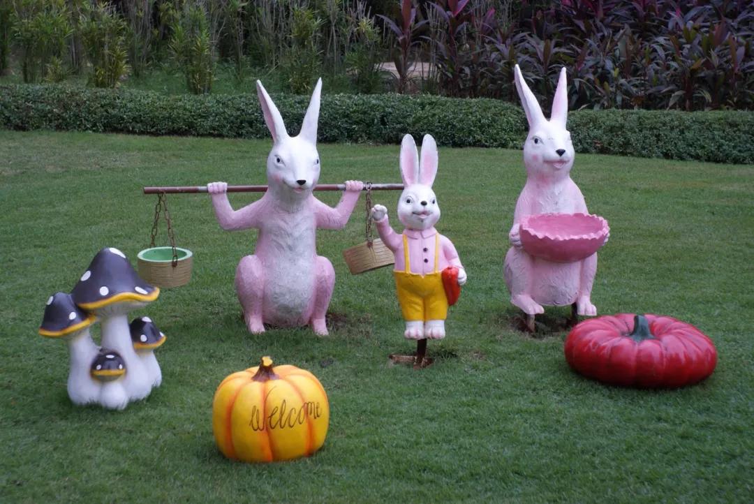 爱克山泰exa1怎么取胶卷,爱克山泰exa500怎么用