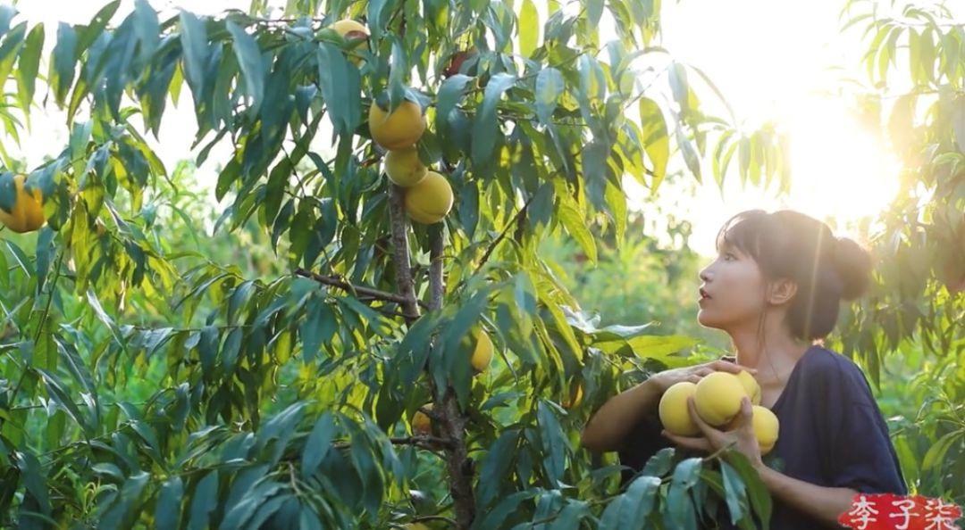 抖音涨粉快秘诀,抖音快速涨粉一千的办法
