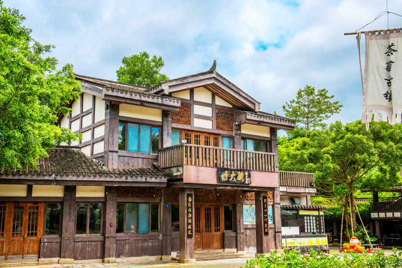 深圳隐藏着一个世外花海公园,深圳茶园