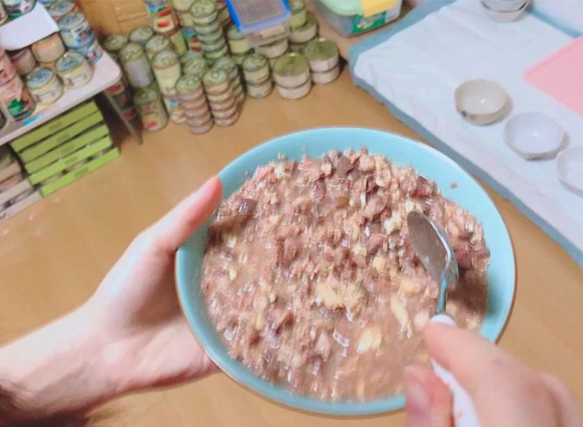 猫咪缺水极易导致尿道问题！一篇文章告诉你泌尿系统疾病到底是啥