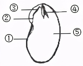 八年级生物中考新突破2024年,生物八年级上册达标测试卷