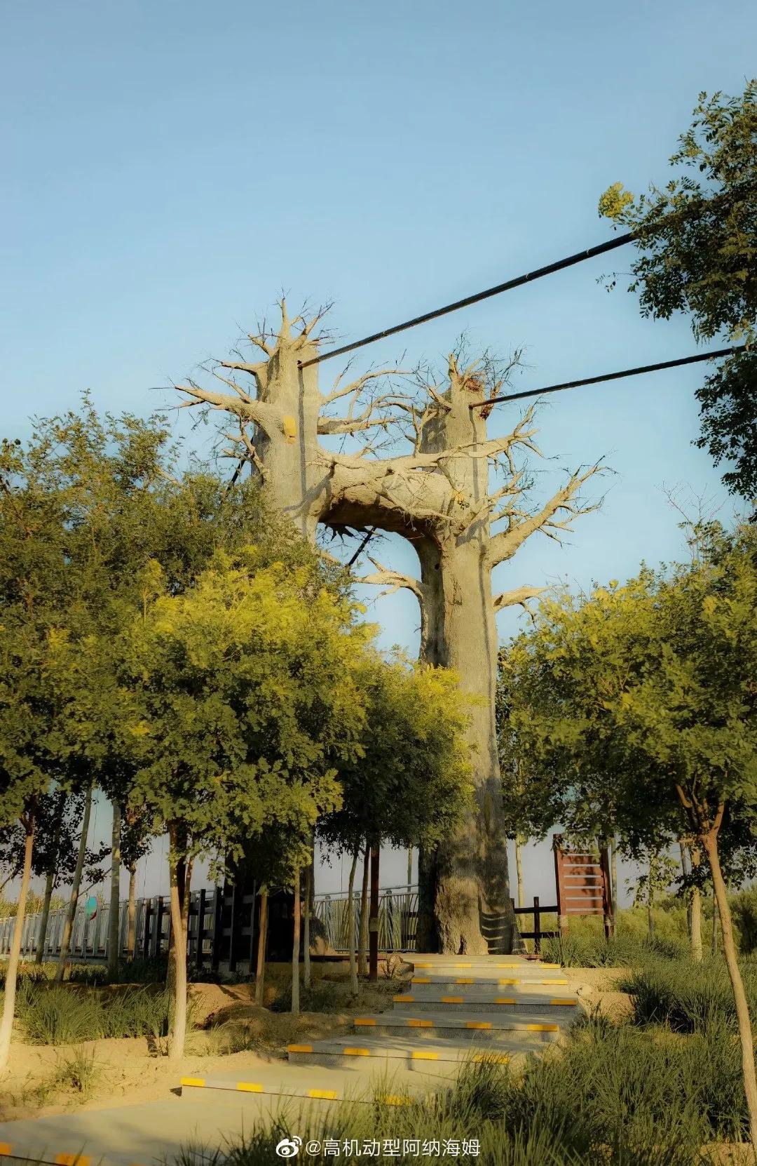 天津十大自然风景区,天津九山顶自然风景区赏秋