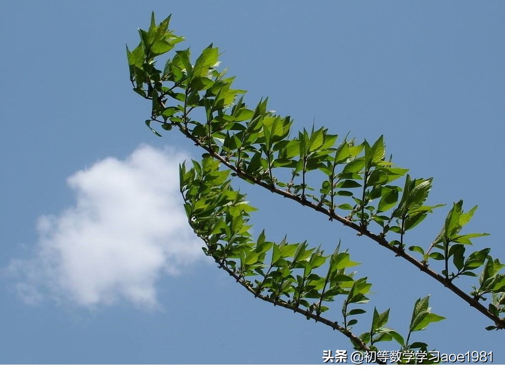 物不知数问题,物不知数问题解法
