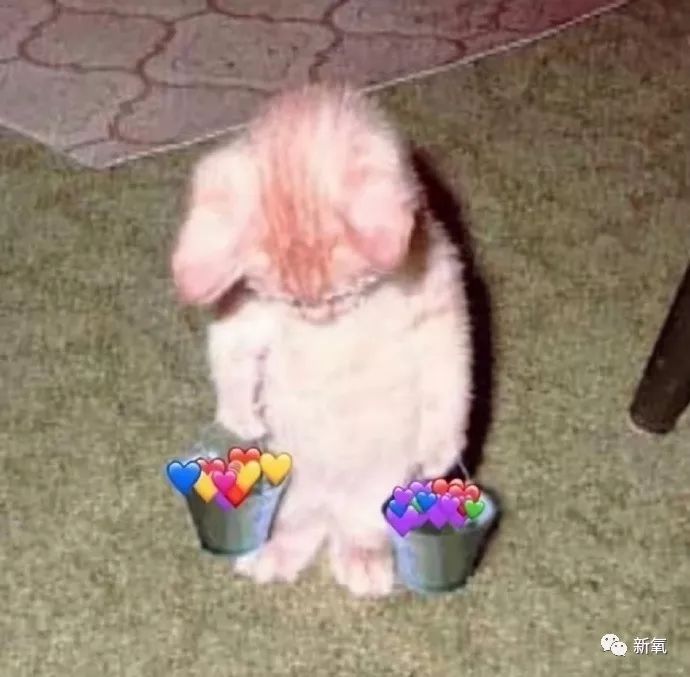 因长相丑被嘲讽后逆袭,因丑被弹幕刷屏挡脸的她