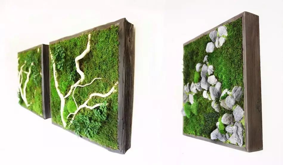 置爱｜植物1.0是种在盆儿里的，植物2.0都趴在墙上的