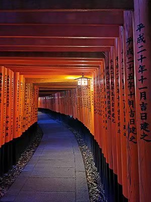 2020鏃ユ湰澶ч槳,澶ч槳浜兘濂堣壇鍏ぉ瀹夋帓