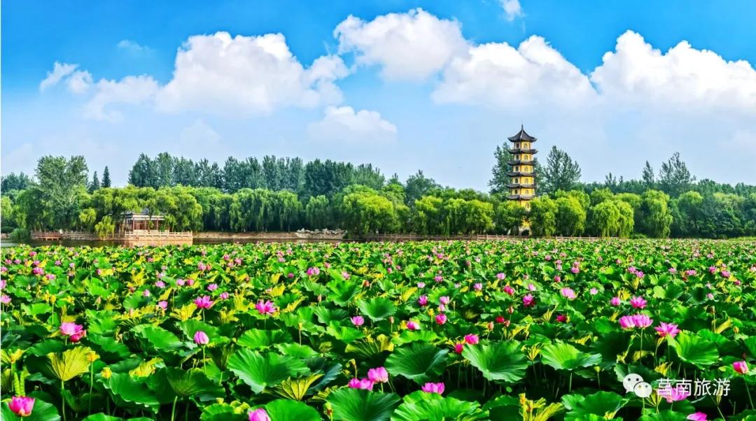 莒南自驾游免费景点大全图片,莒南春季游玩好去处推荐