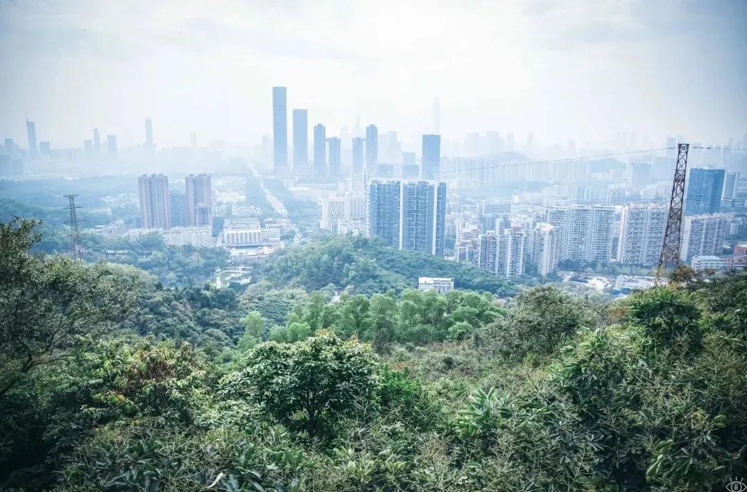 9号线上有什么景点吗,9号线游玩攻略大全