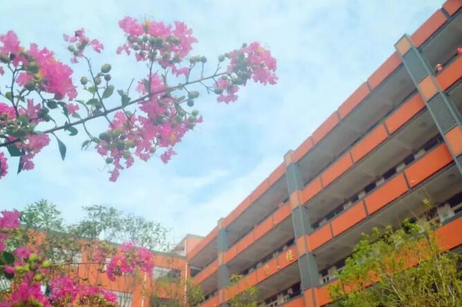 昆山地区十强中学,昆山市排名前十的中学有哪些