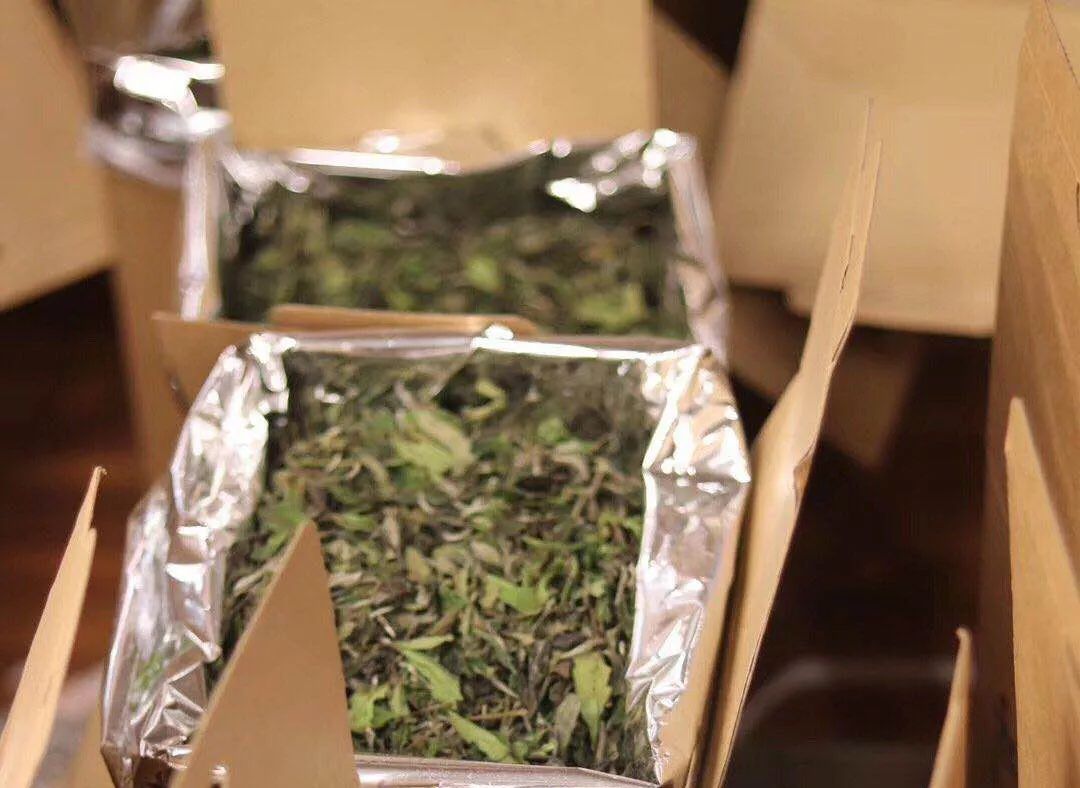 白茶怎么分辨茶毫和发霉,散装白茶发霉是什么样子